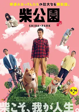 丁香六月综合激情